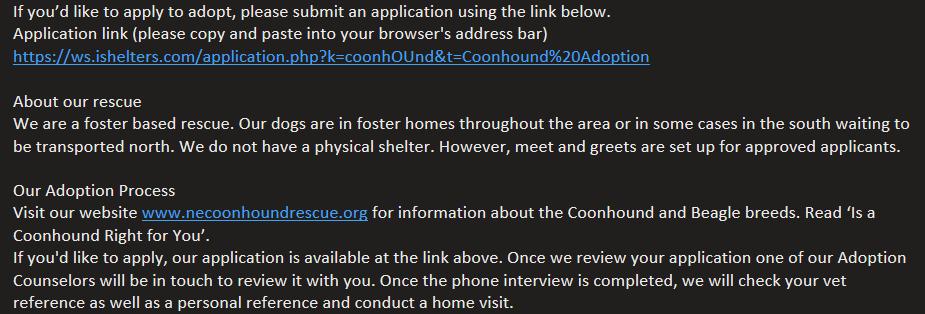 Enlarge Melody, a ADOPTABLE Beagle in Lexington, MA image 3/5