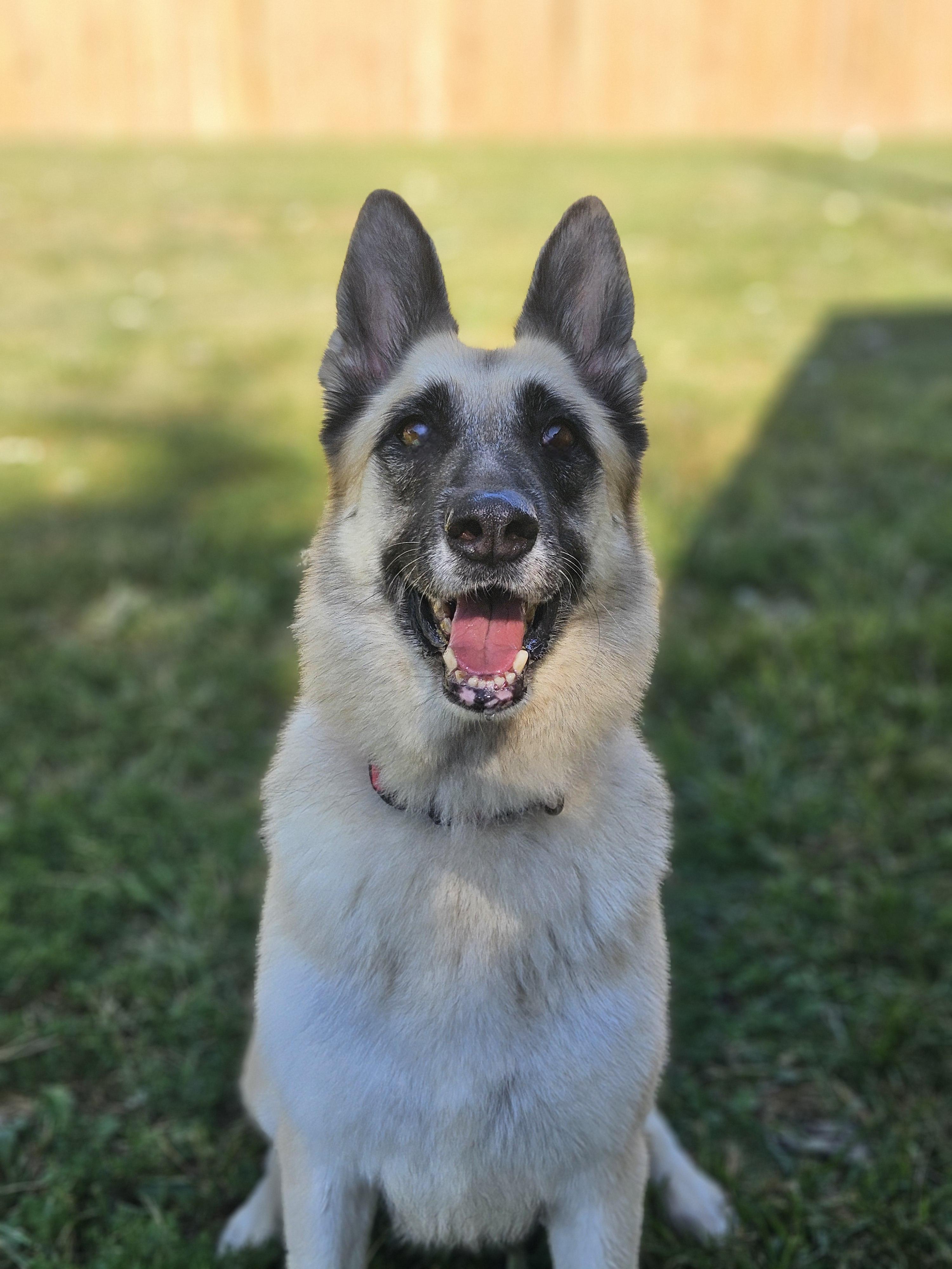 Jersey-Read full bio