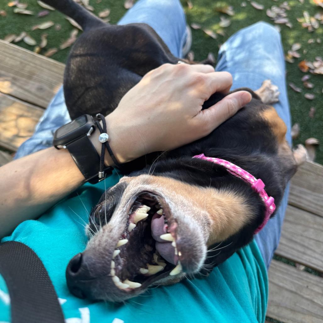 Ariel — thumbnail 2