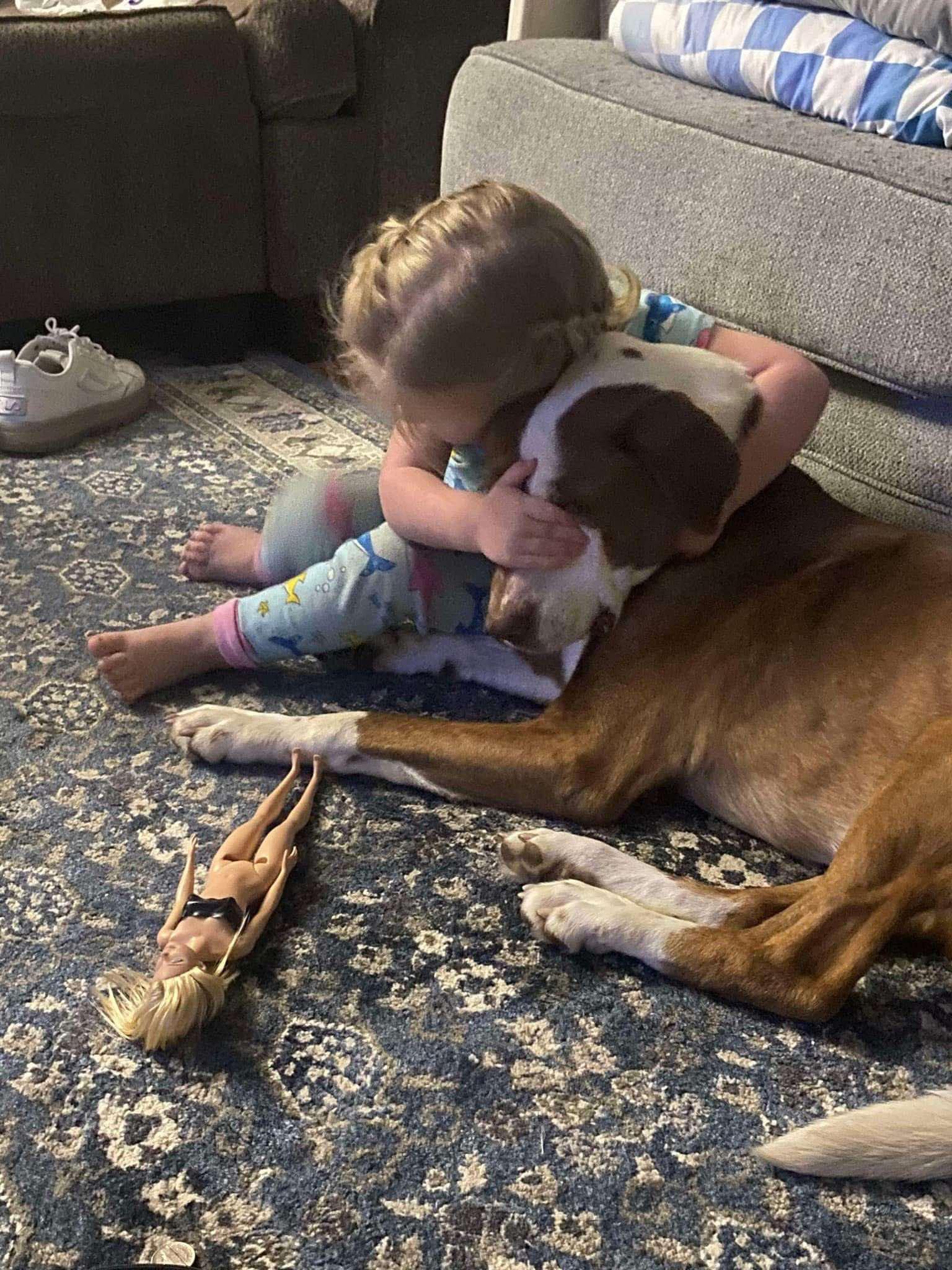 Enlarge Luchee and Eli, a Adoptable mixed breed in Charleston, SC image 6/6