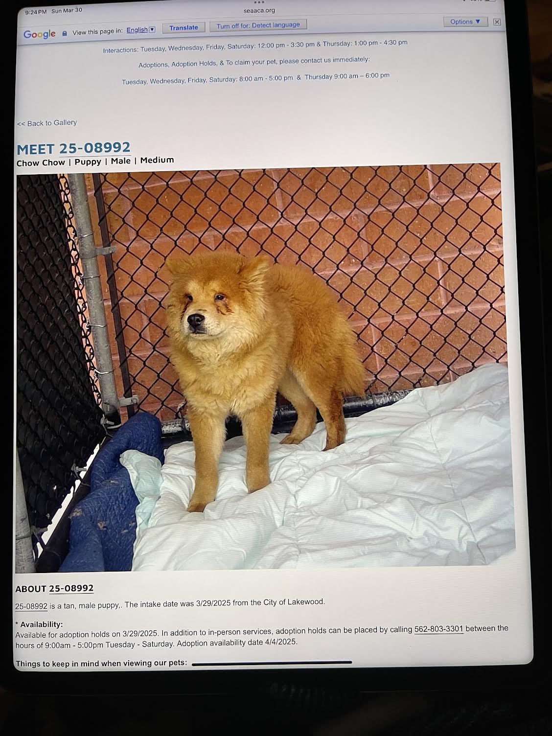 Ronnie better pix is with his brother - on this listing