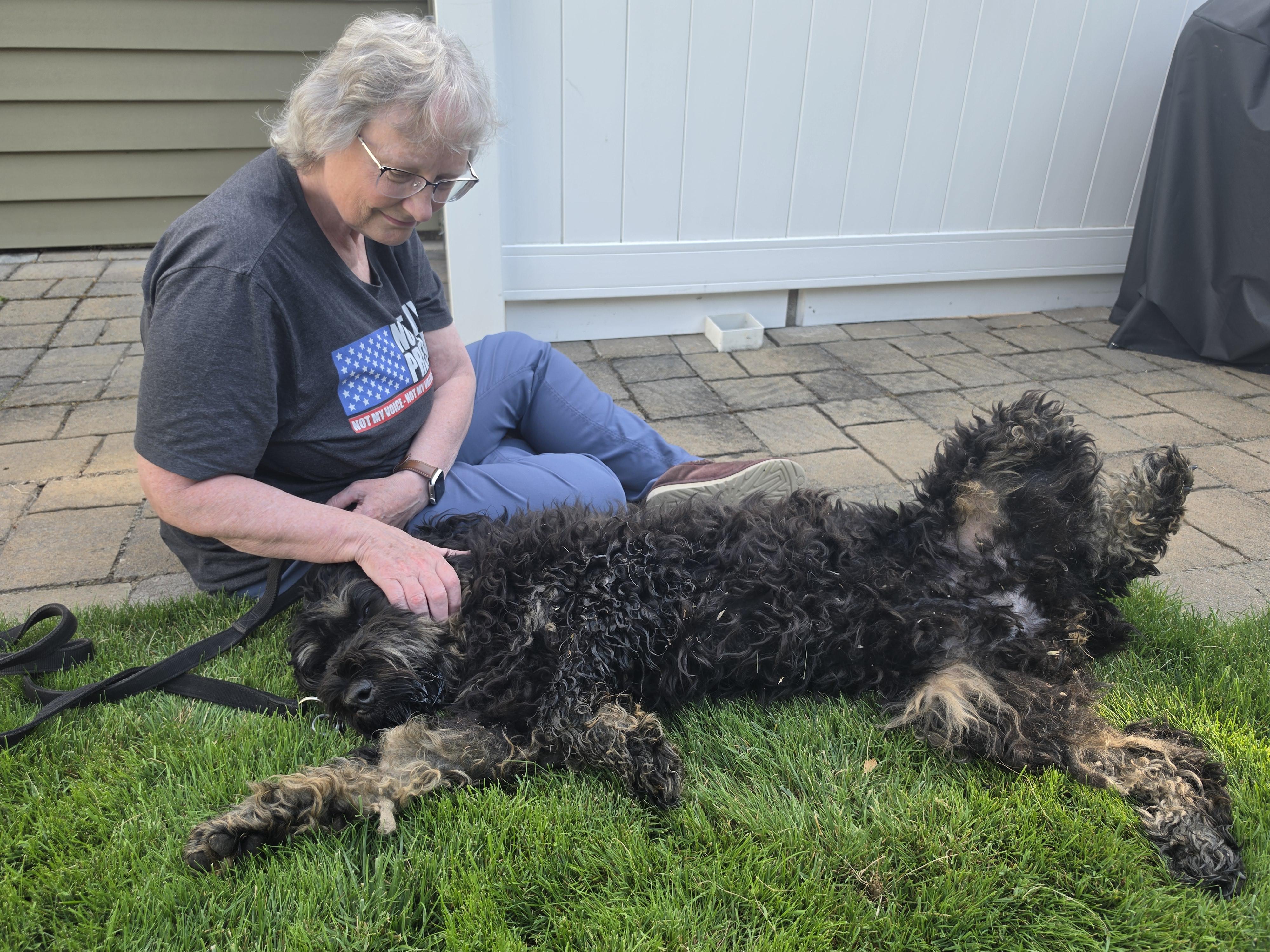 Betsy Ross, Adopted, Young Female Standard Poodle & Rottweiler.