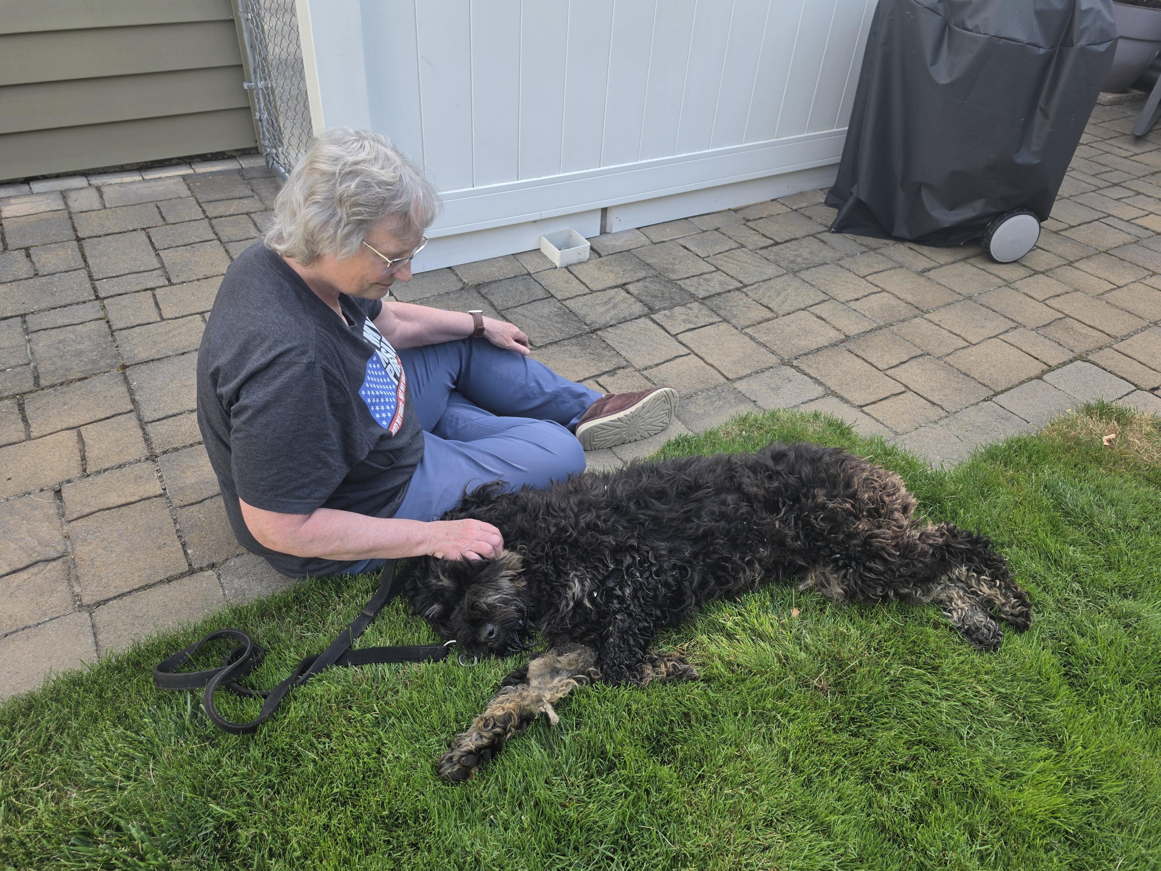 Enlarge Betsy Ross, a Adopted mixed breed in Elk, WA image 3/6