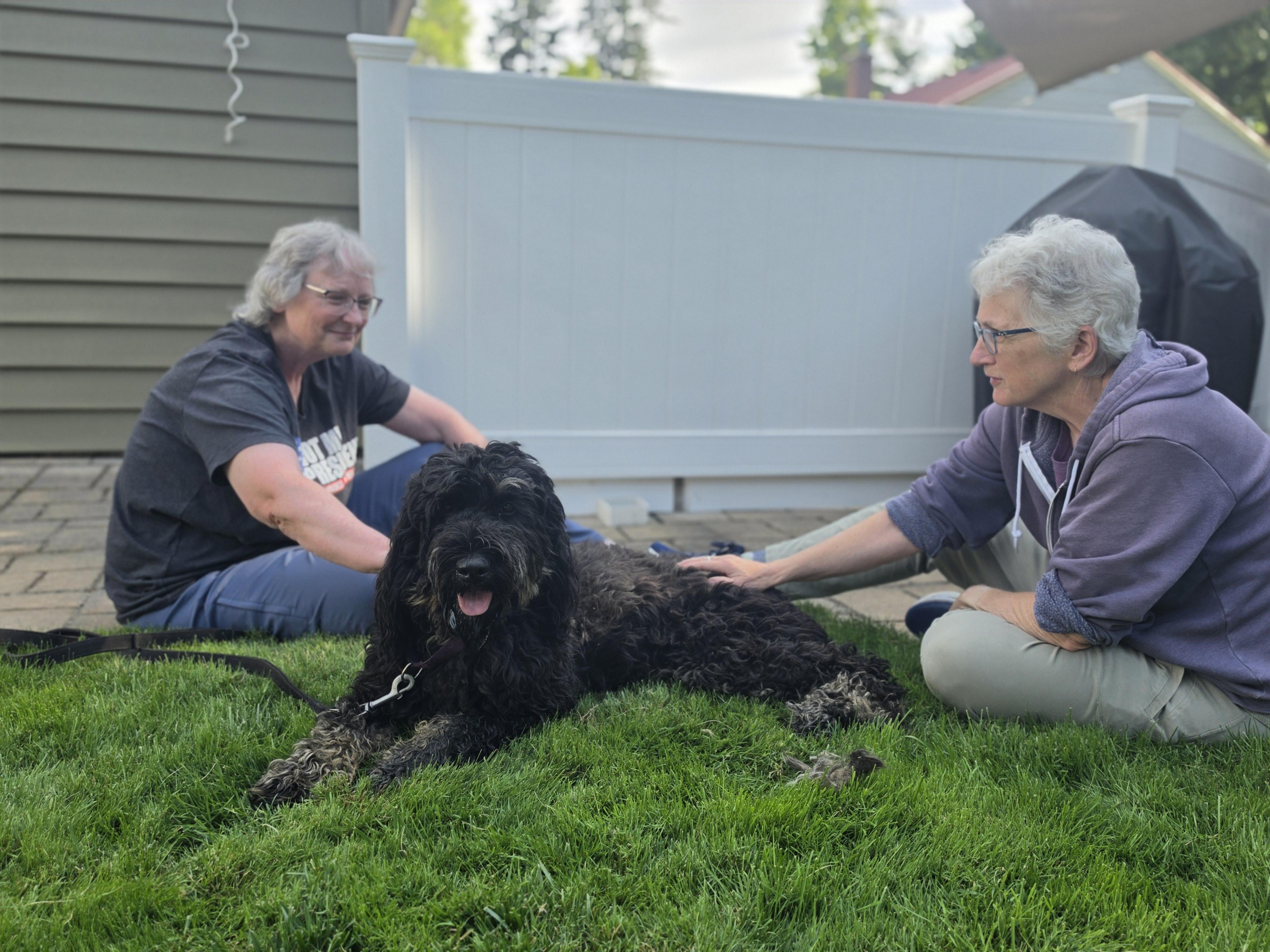 Enlarge Betsy Ross, a Adopted mixed breed in Elk, WA image 6/6