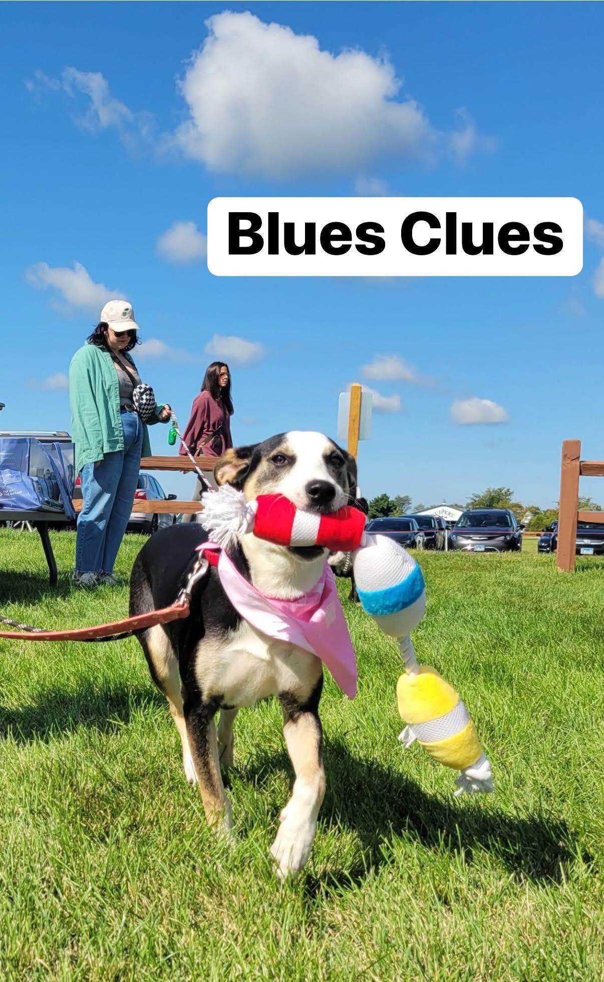 Blues Clues — thumbnail 3