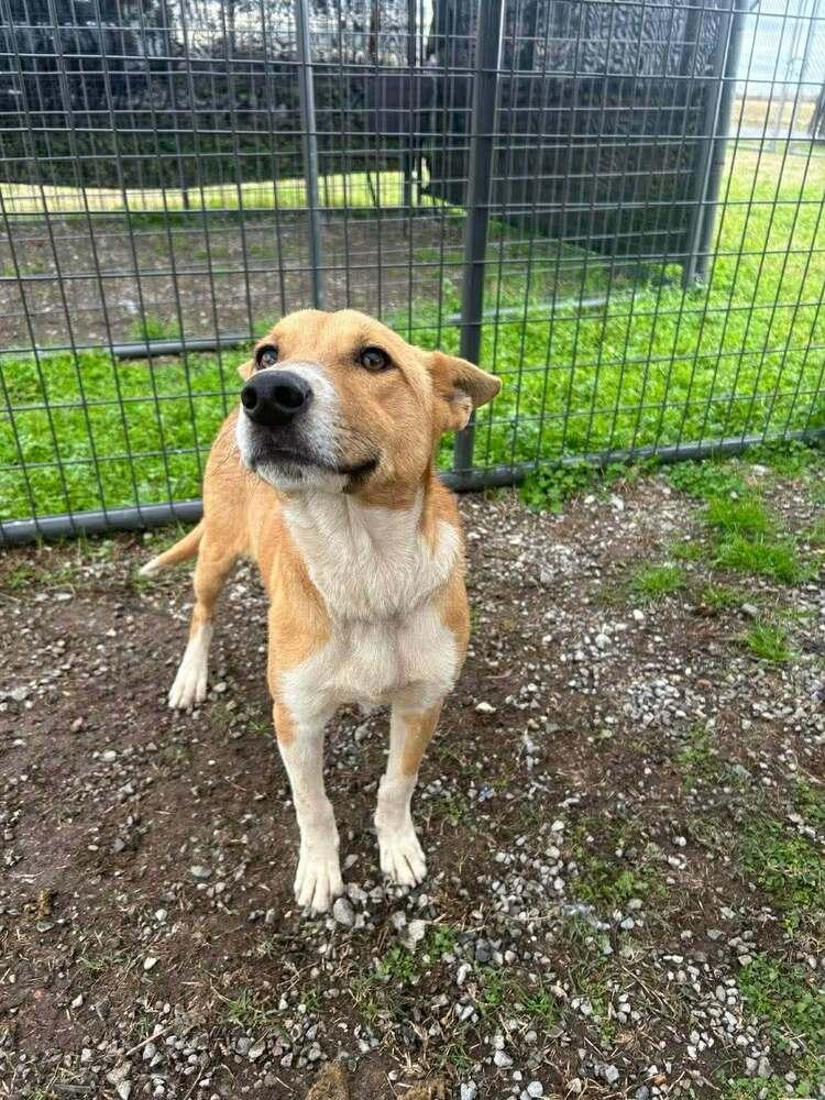 BaeBae — thumbnail 2