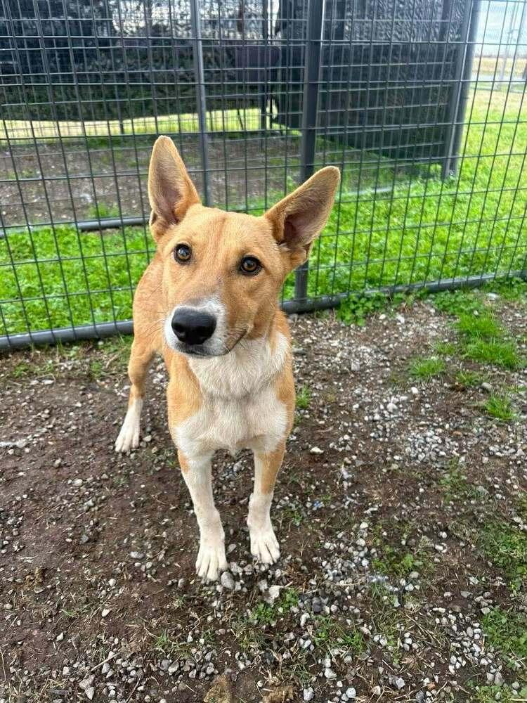 BaeBae — thumbnail 4