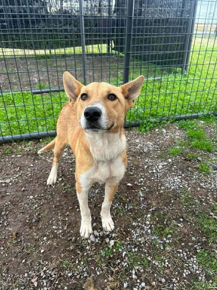 BaeBae — thumbnail 6