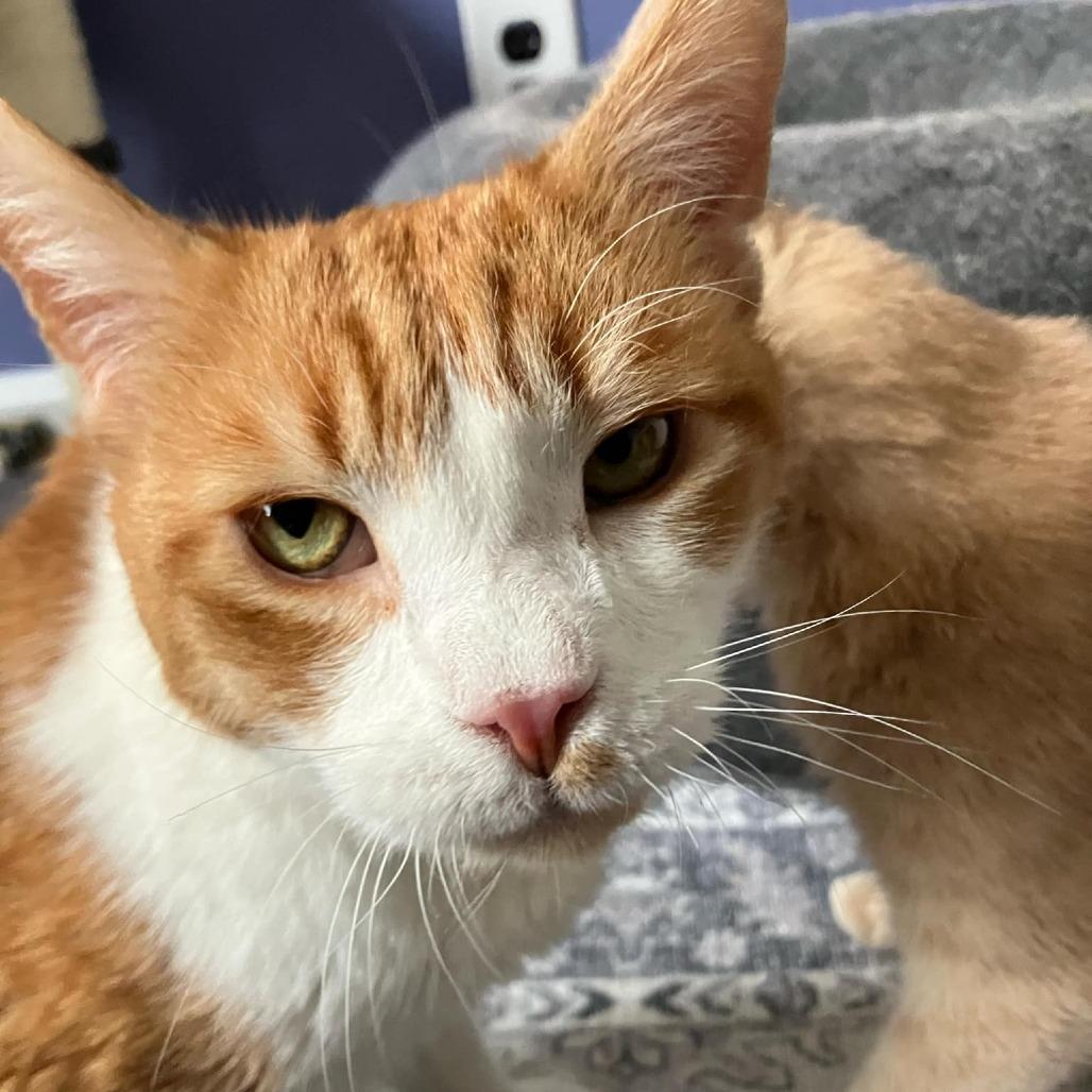 Saeran — thumbnail 6