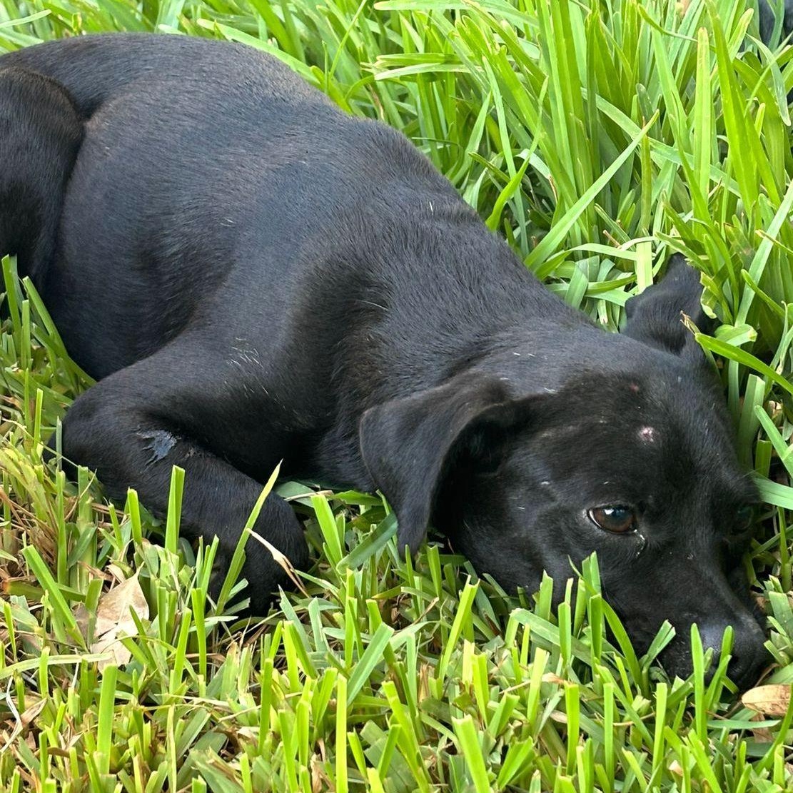 Octavio — thumbnail 3