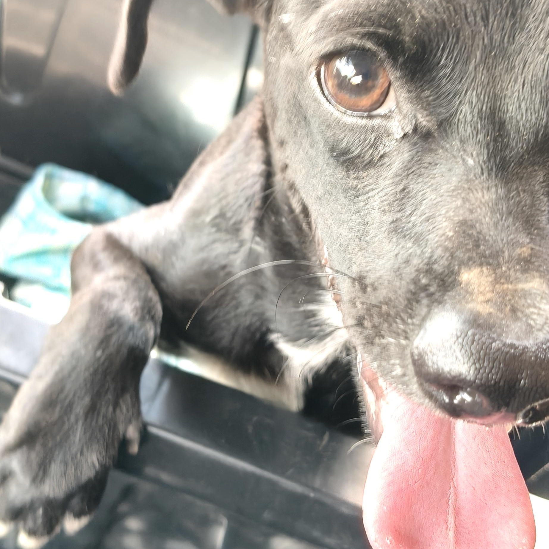 Octavio — thumbnail 4