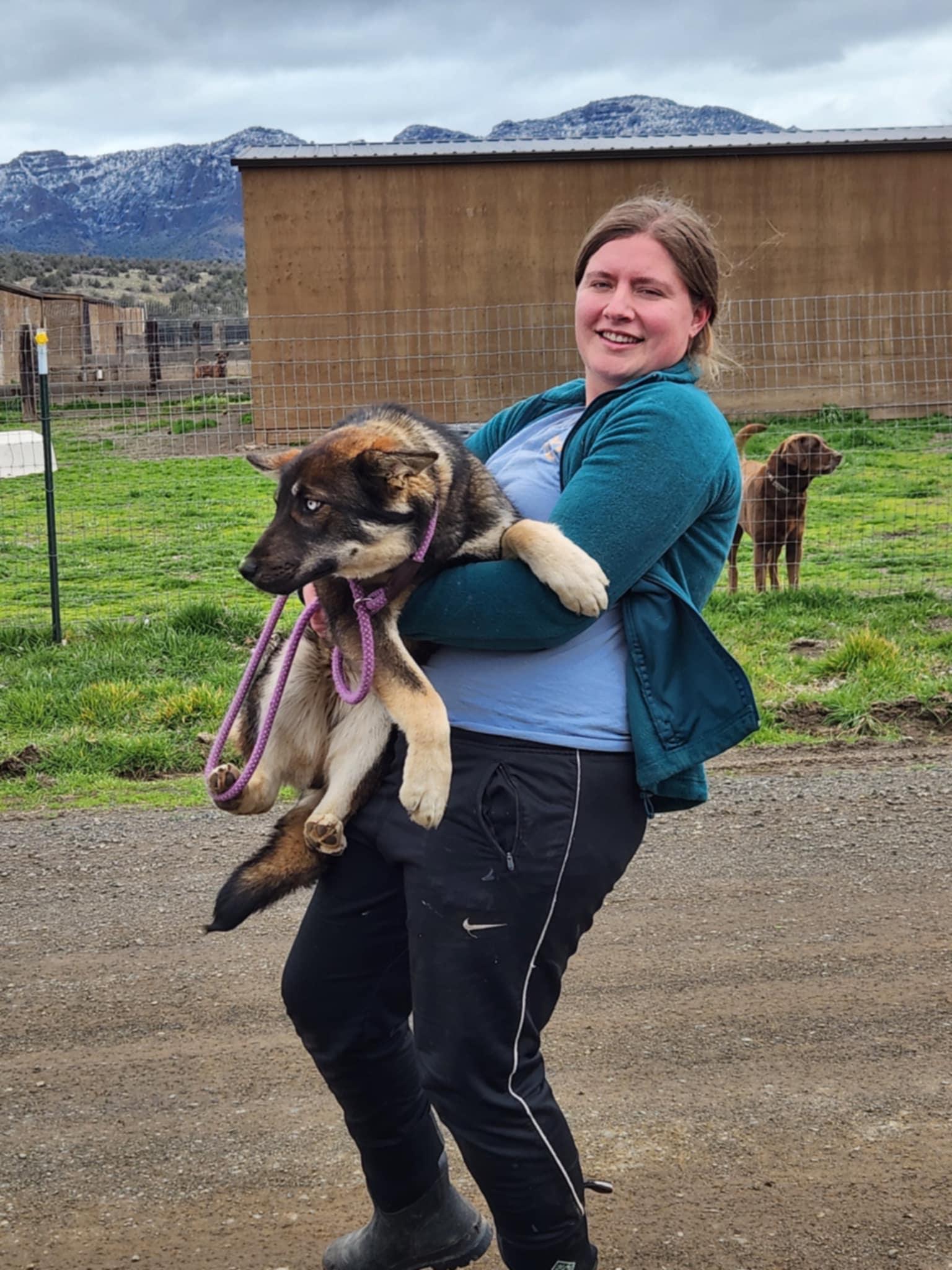 Naya, a Adopted mixed breed in Missoula, MT image 5/6