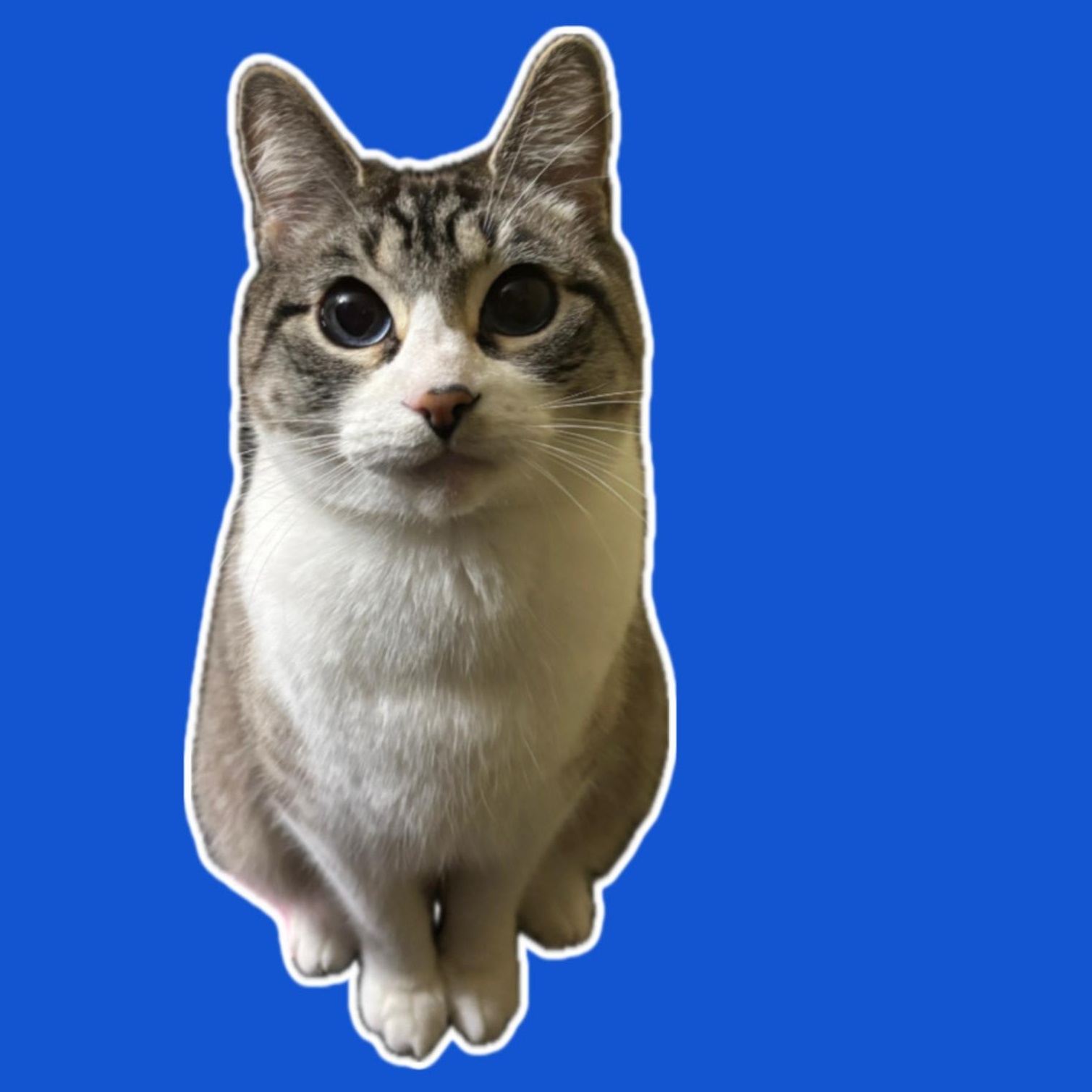 Azy & Piper BONDED — thumbnail 2