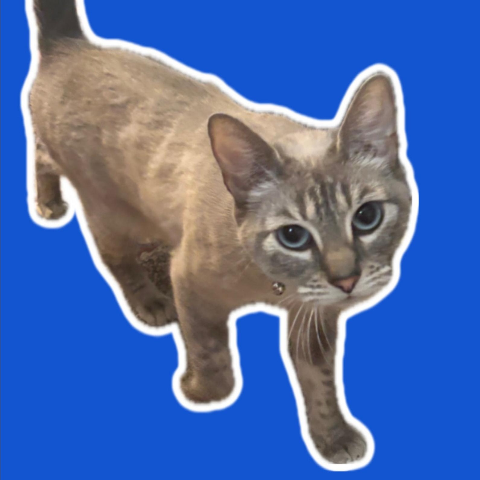 Azy & Piper BONDED — thumbnail 3