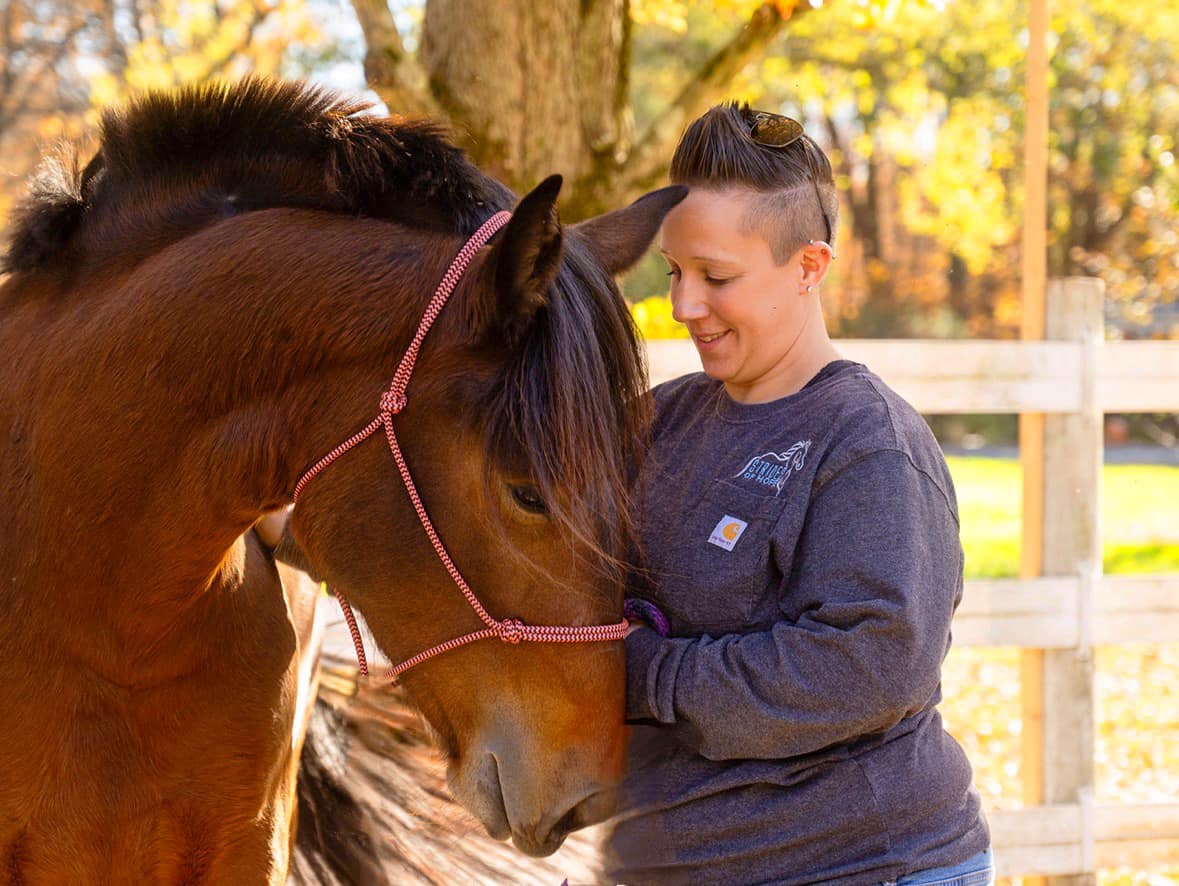 Enlarge Rosie, a Adopted Mustang in Northford, CT image 4/4