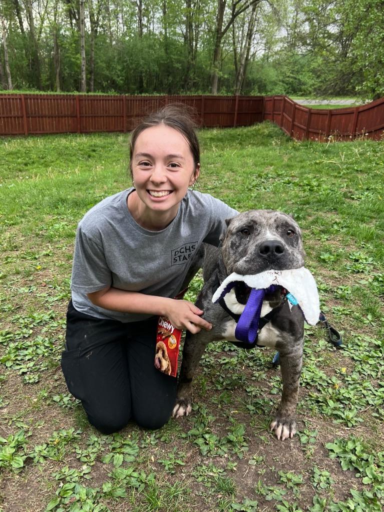 Theo, a Adoptable mixed breed in Menomonie, WI image 5/6