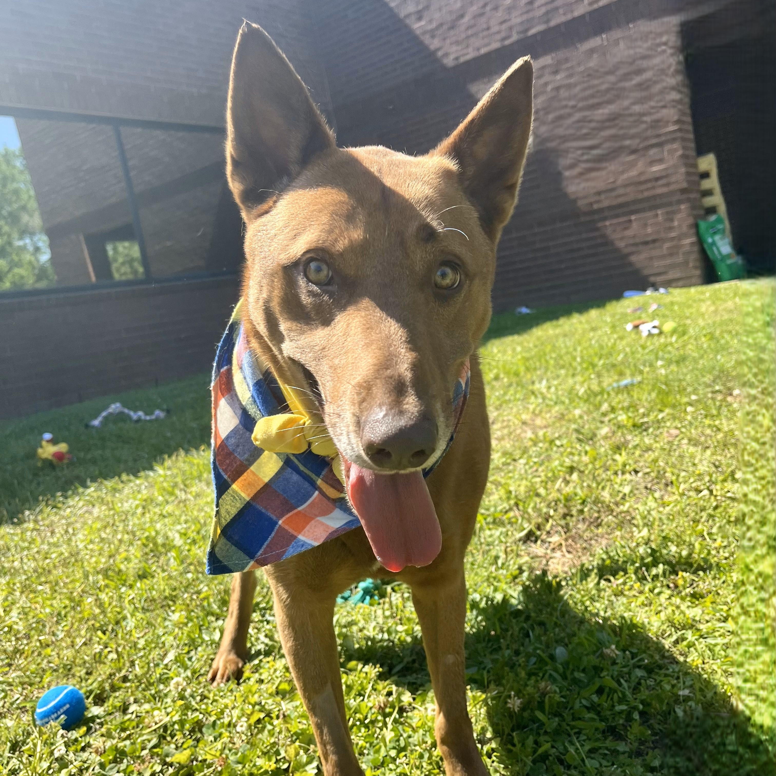 Fernando — thumbnail 6