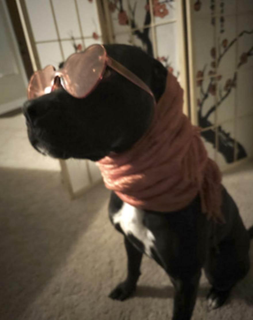 Lola — thumbnail 3