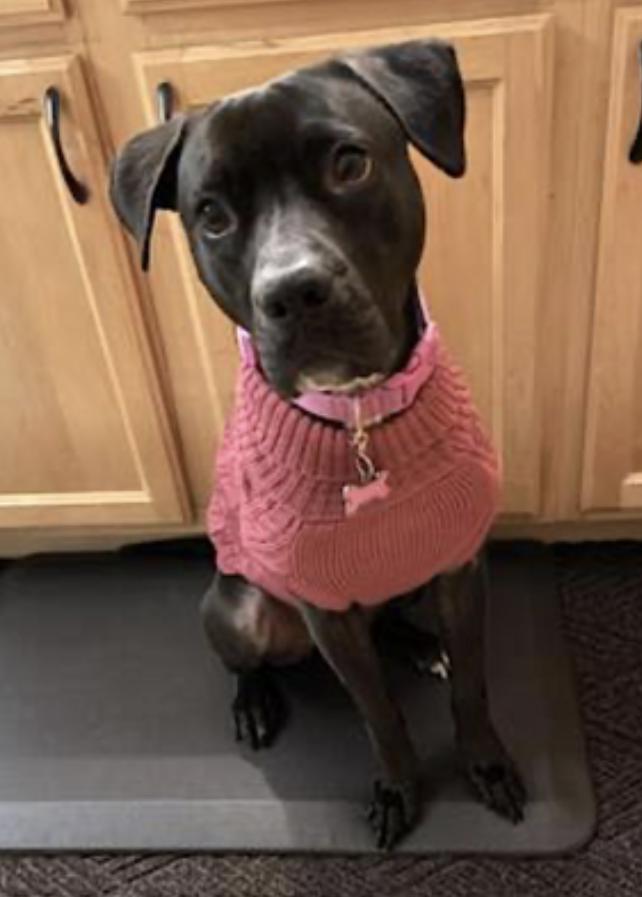 Lola — thumbnail 5