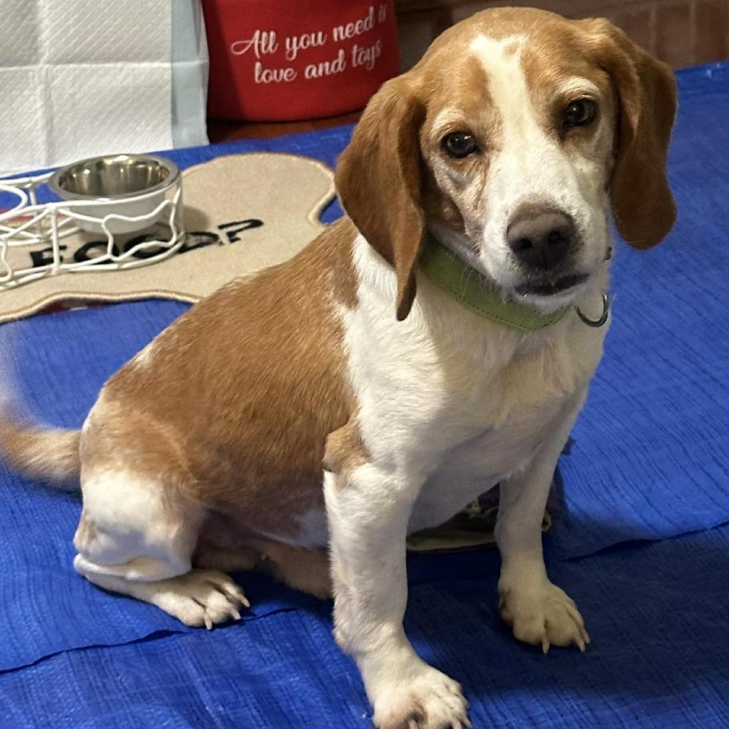 Freddie Mercury thumbnail 2