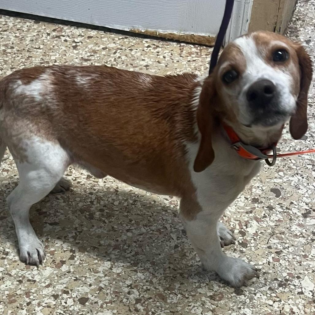 Freddie Mercury thumbnail 3