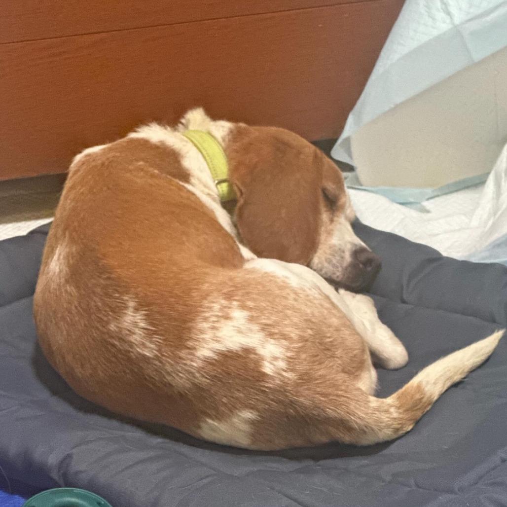 Freddie Mercury thumbnail 5