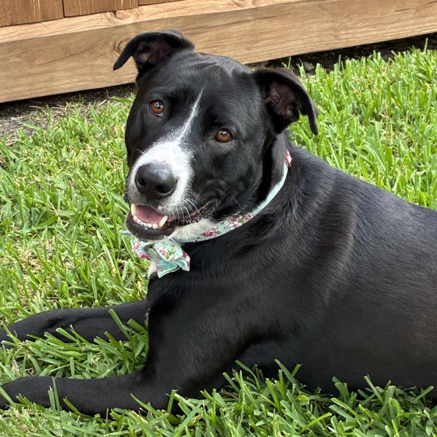 Nini — thumbnail 6