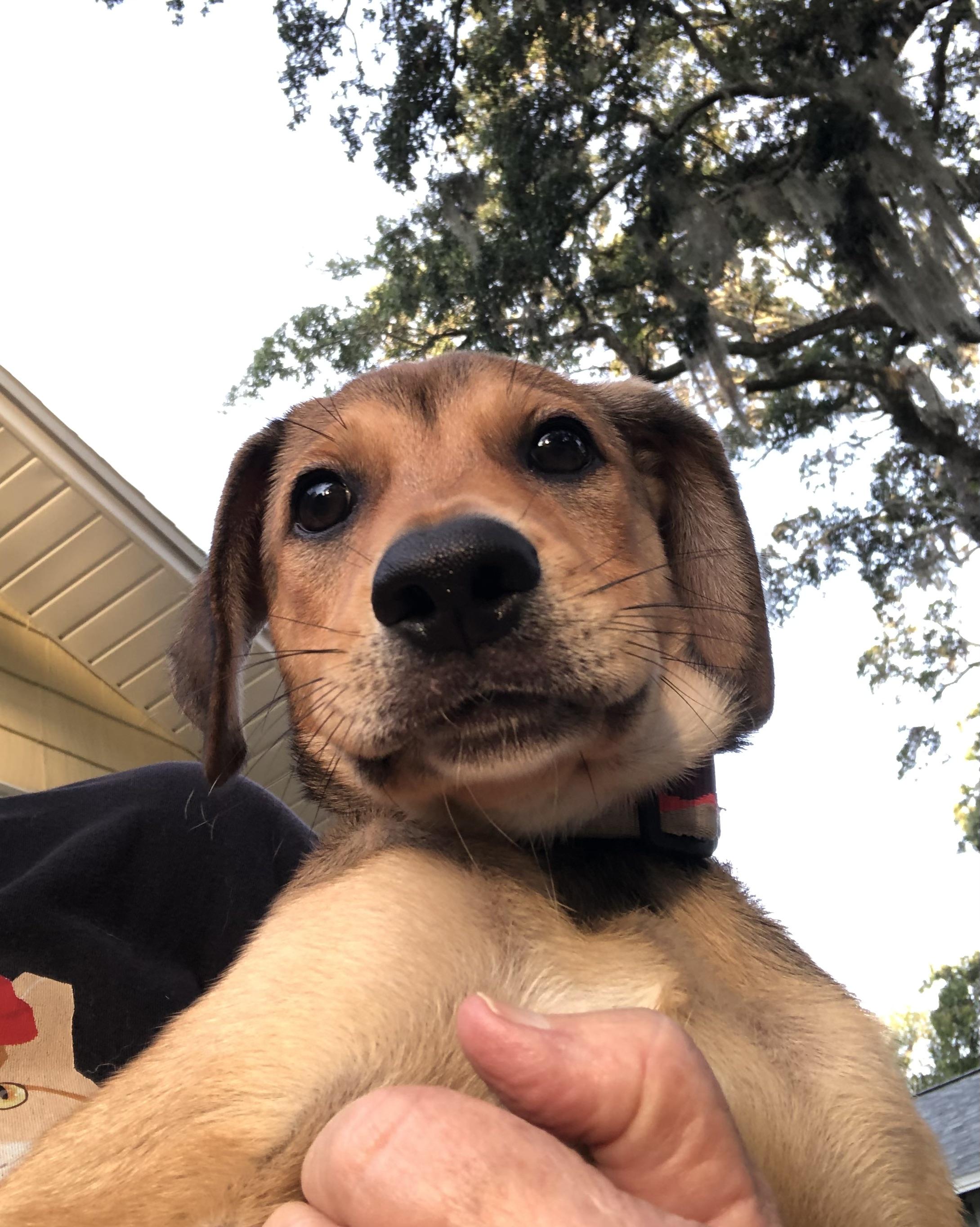 Charlie photo 2
