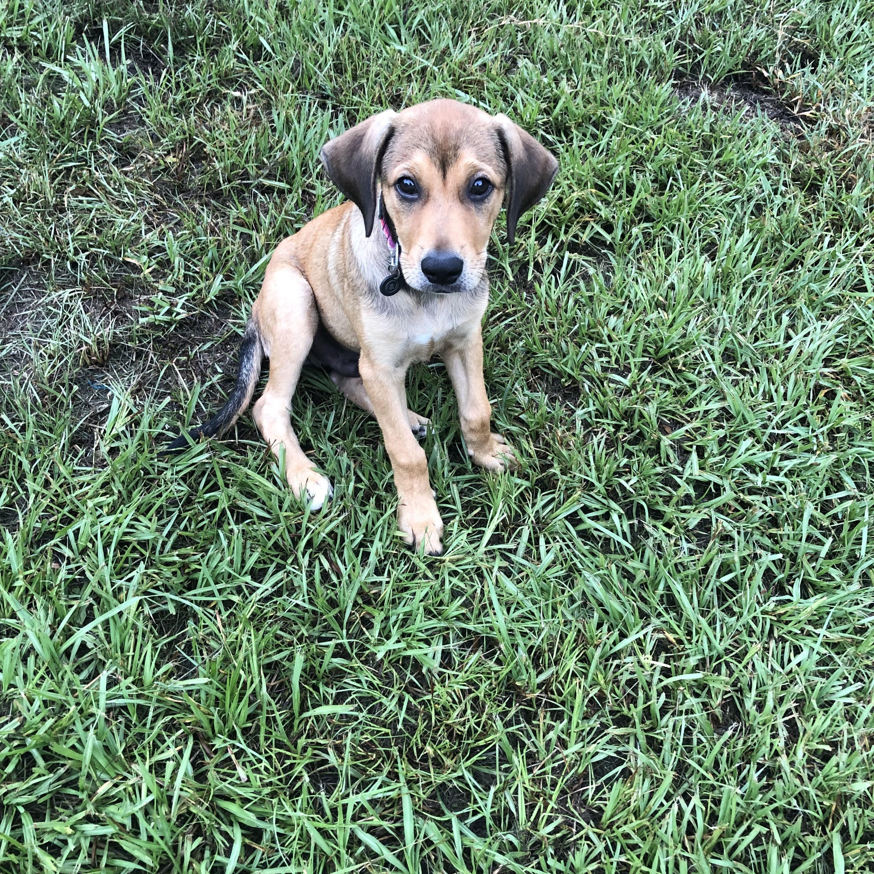 Charlie photo 3