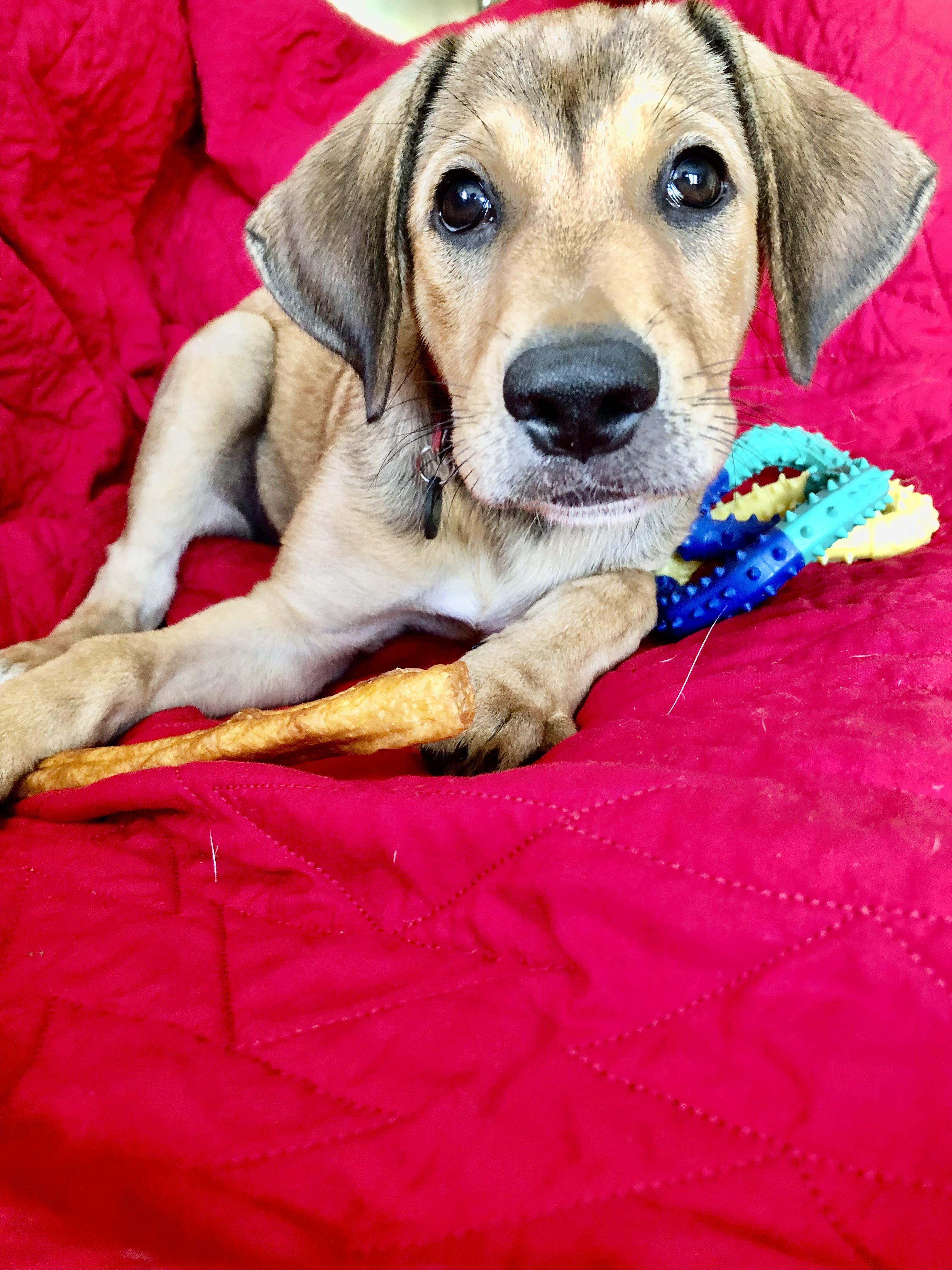 Charlie photo 6