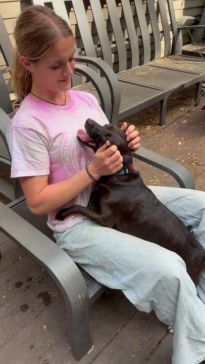 Enlarge Lina, a Adoptable mixed breed in Ridgefield, CT video 2/6