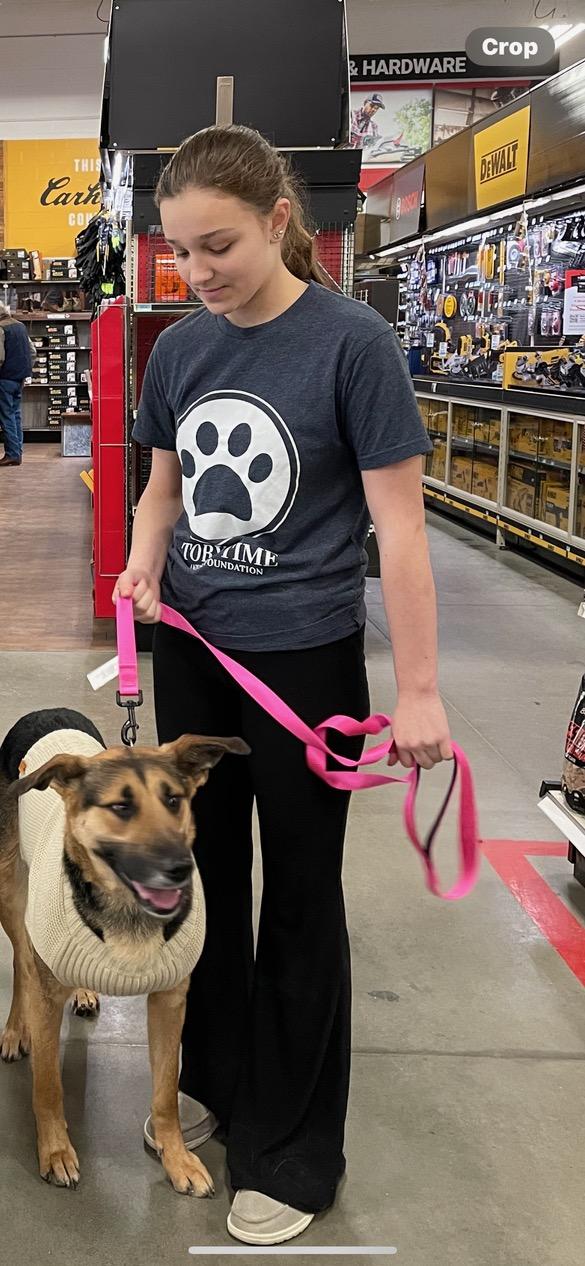 Enlarge Rosa, a ADOPTABLE mixed breed in Lincoln University, PA image 5/5