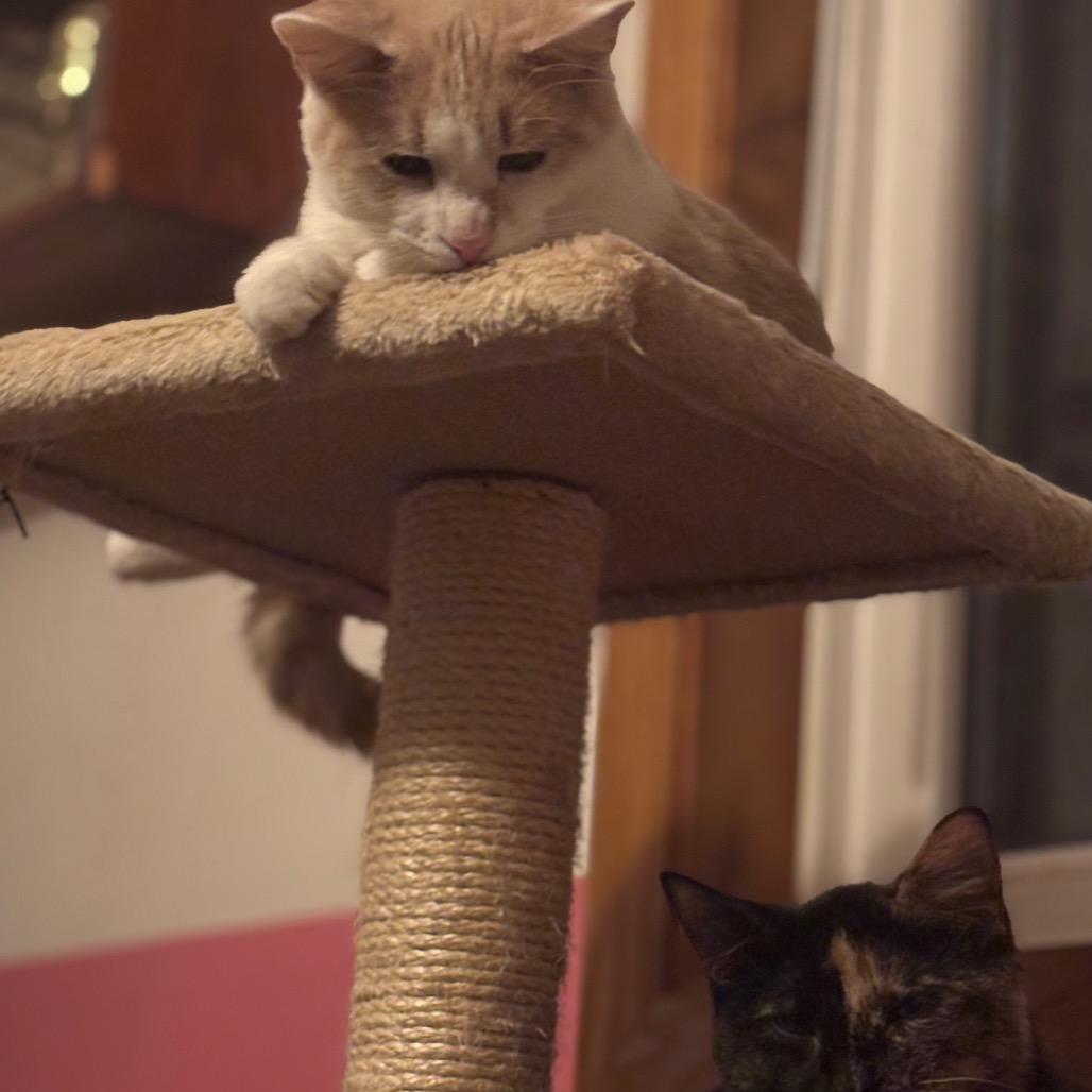 Commercial — thumbnail 2