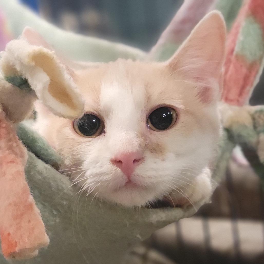 Commercial — thumbnail 4