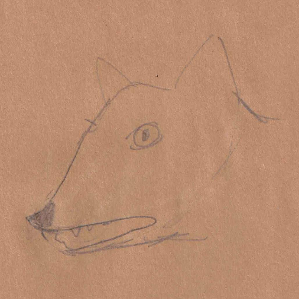 Enlarge FOXIE, a Adoptable mixed breed in Point Richmond, CA image 2/6