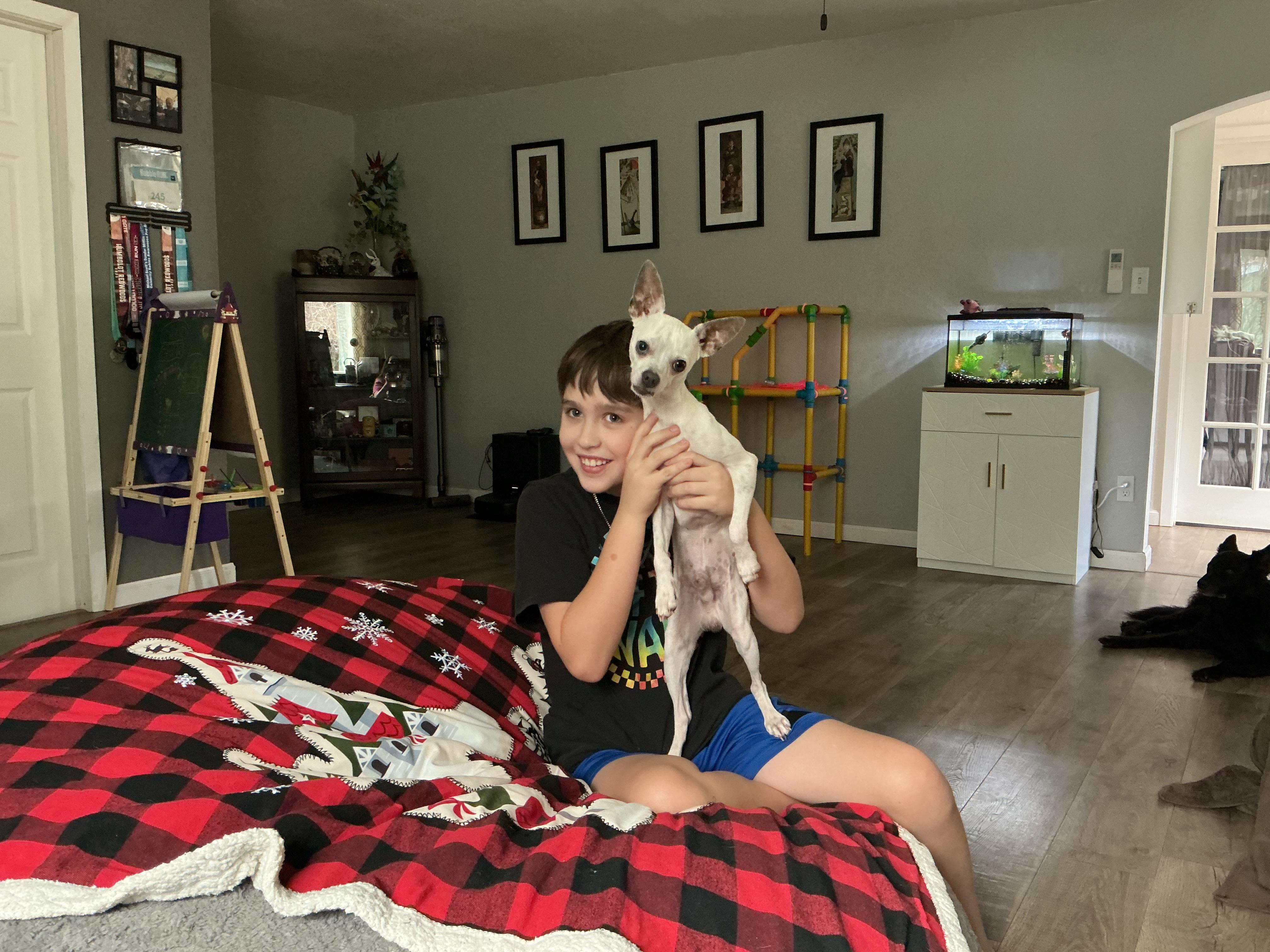 Enlarge Twinkie, a Adoptable mixed breed in San Francisco, CA image 2/6