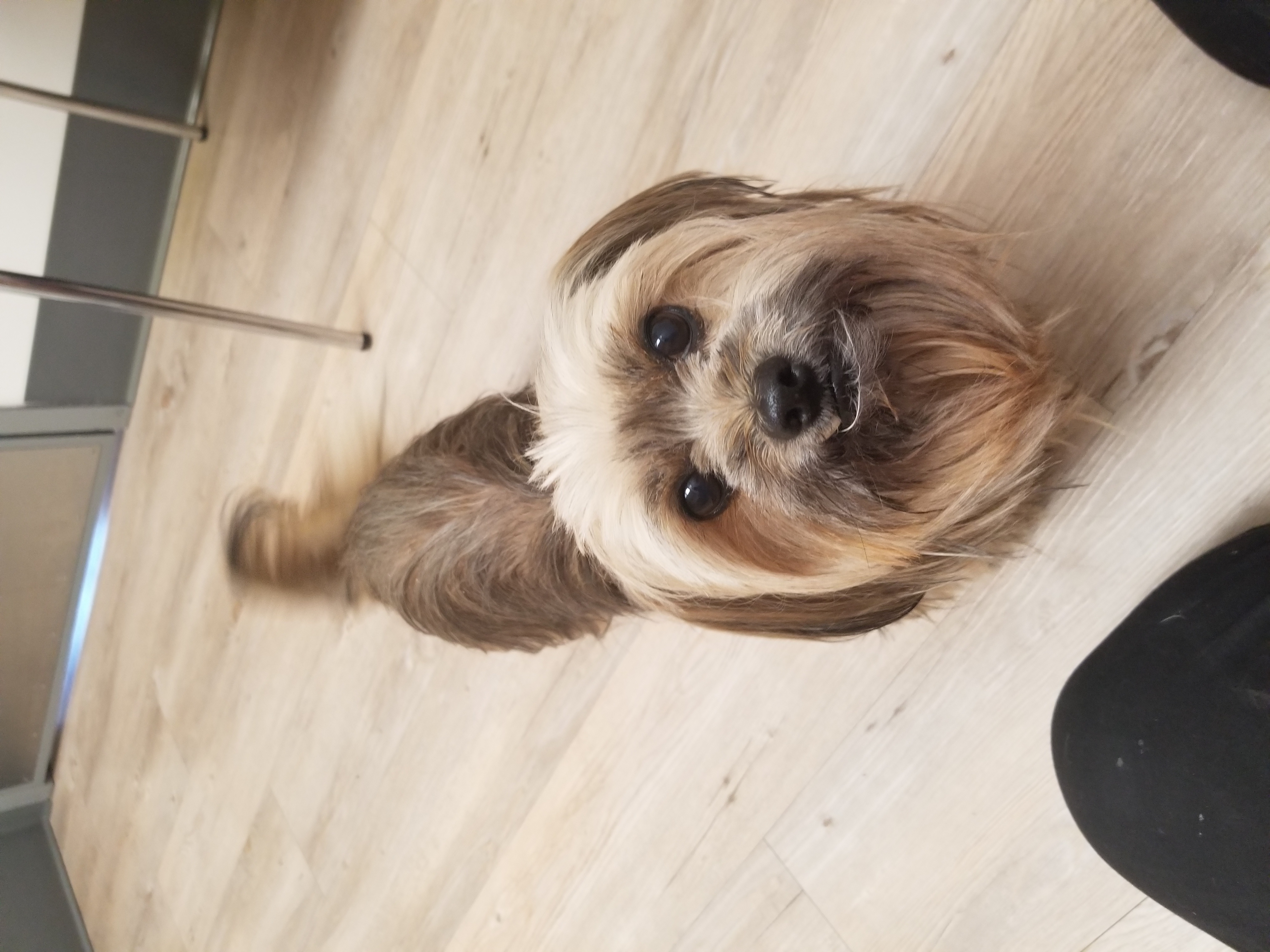 Sam