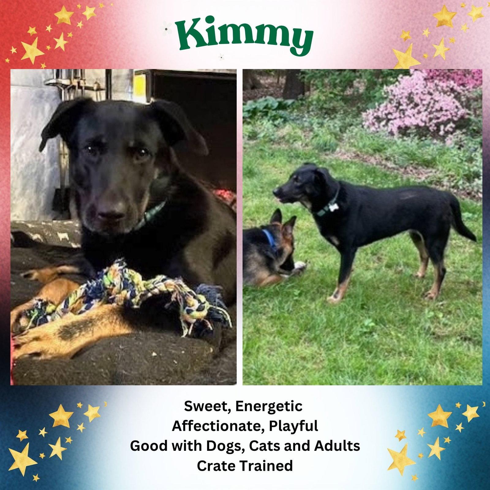 Enlarge Kimmy, a Adoptable mixed breed in Baltimore, MD image 3/3