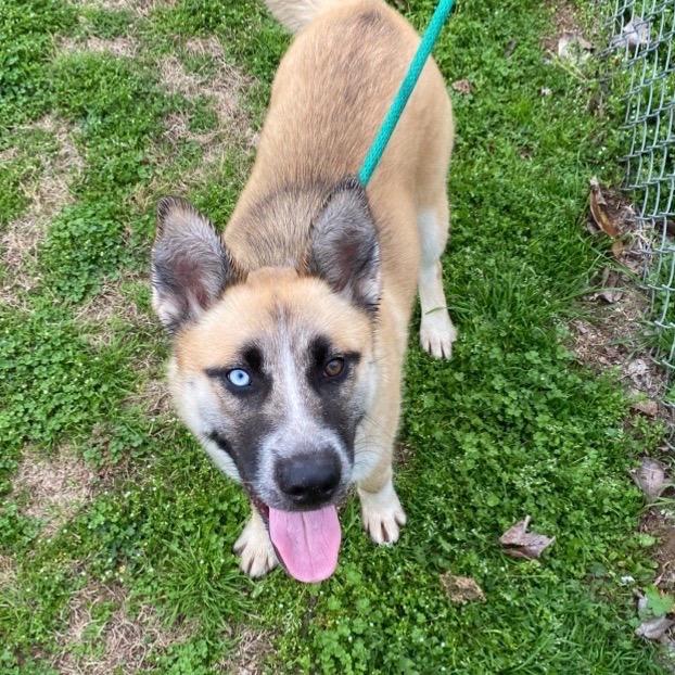 Bernadette — thumbnail 2