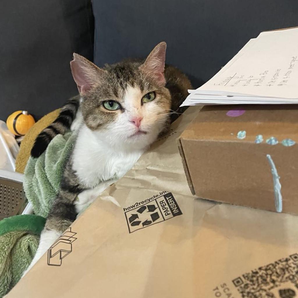 Willow Carter — thumbnail 2