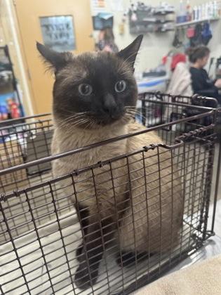 Benton — thumbnail 2