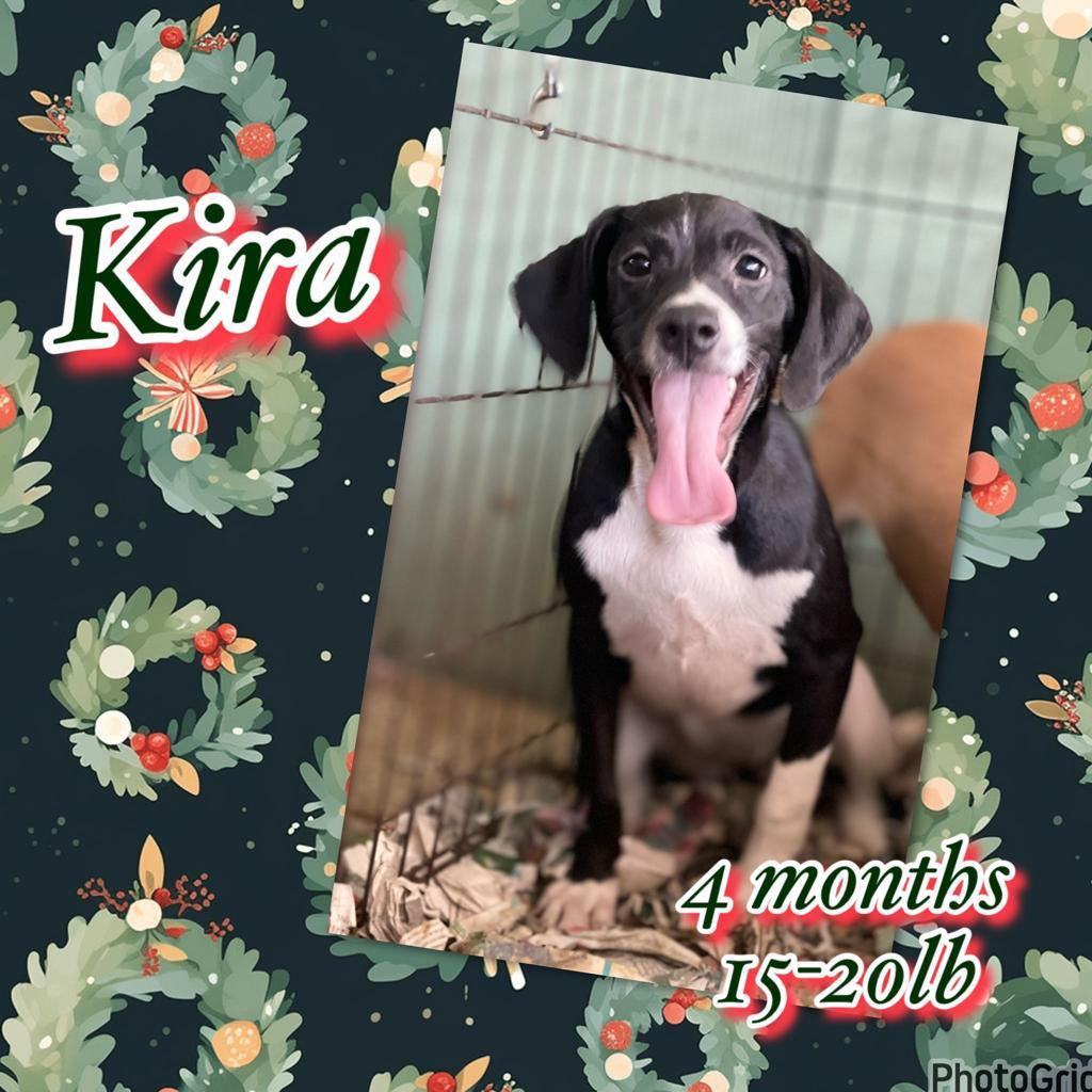 Kira