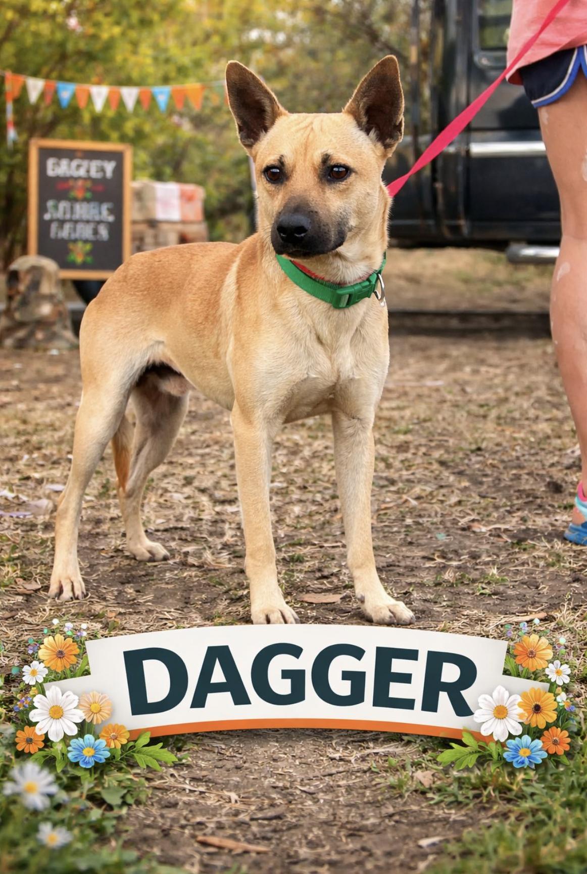 Dagger — thumbnail 3