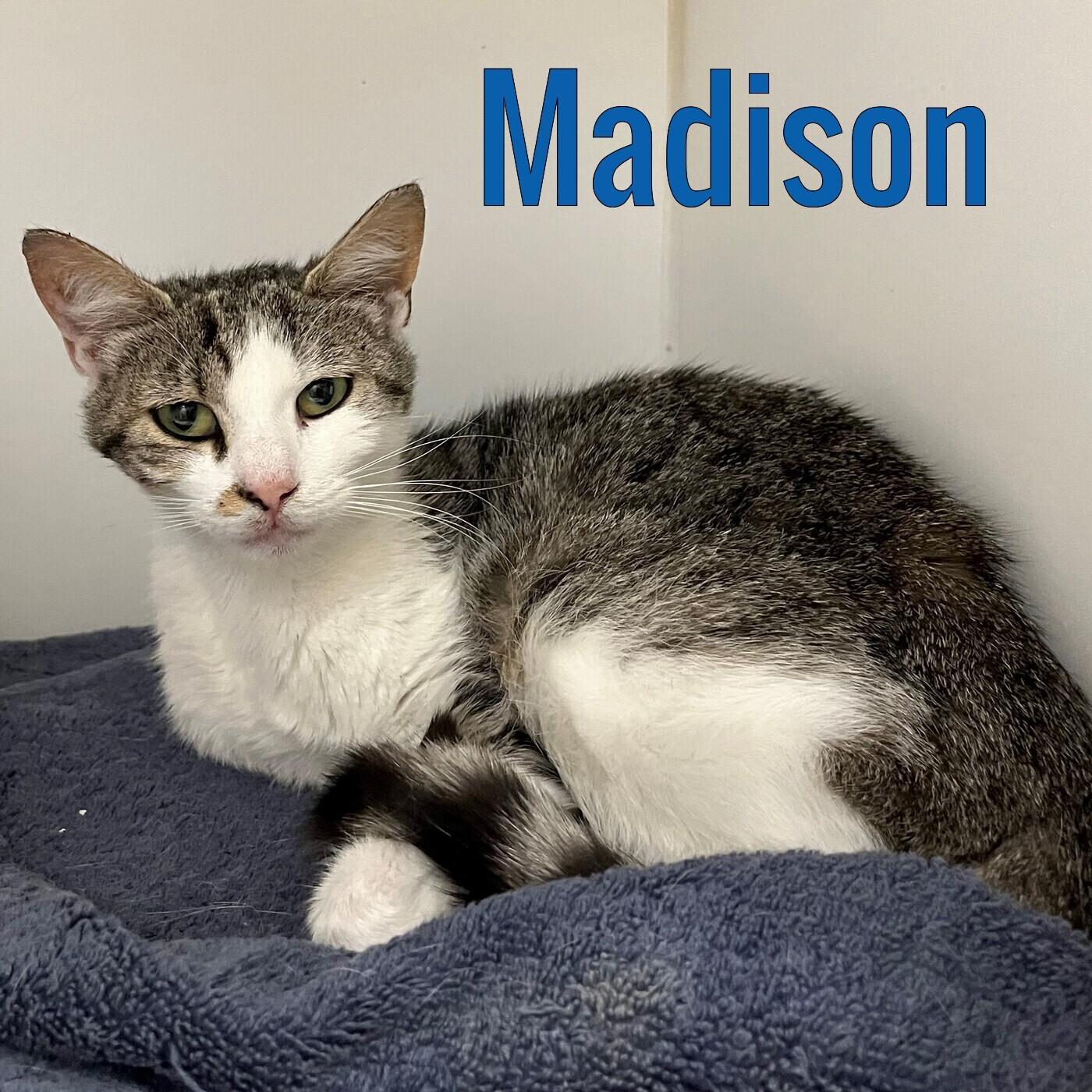 Madison