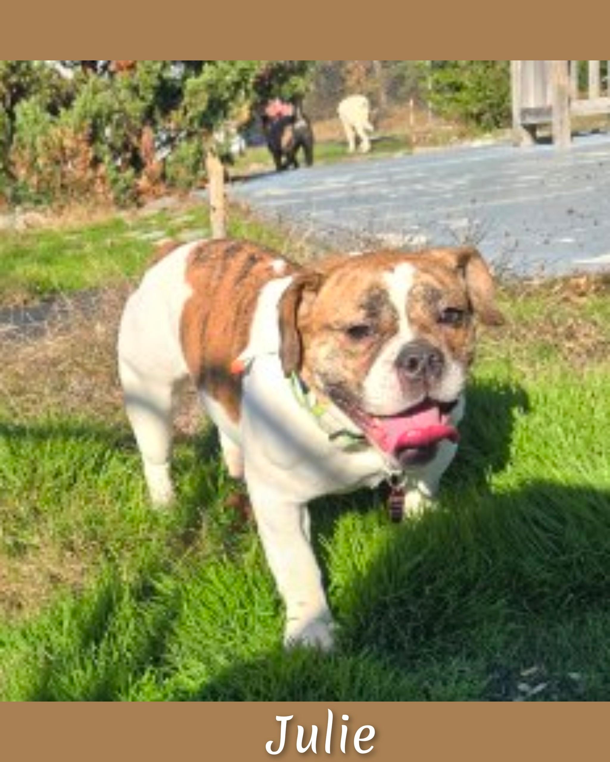 Julie