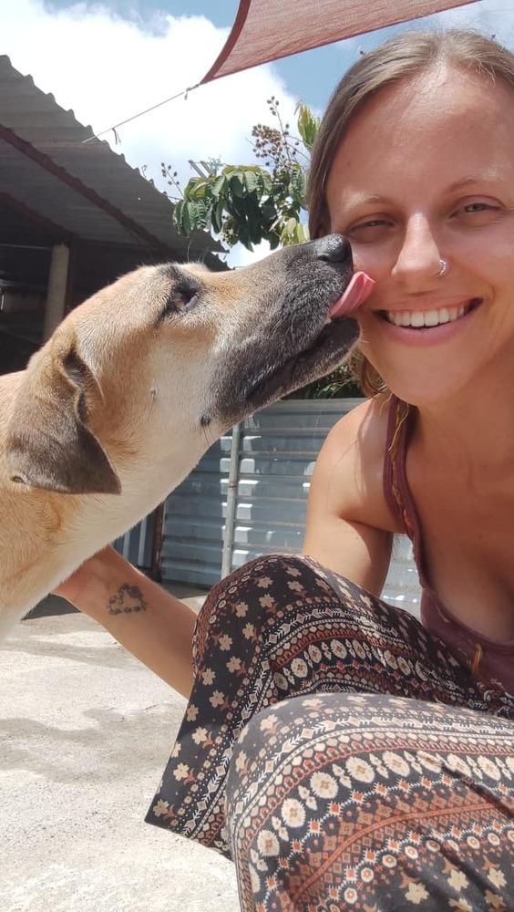 Enlarge Montana, a Adoptable mixed breed in San Diego, CA image 3/6