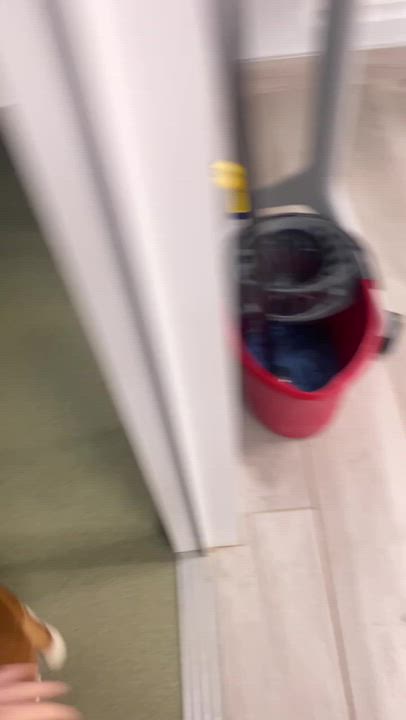 Enlarge Hammy, a ADOPTABLE mixed breed in Maidens, VA video 6/6