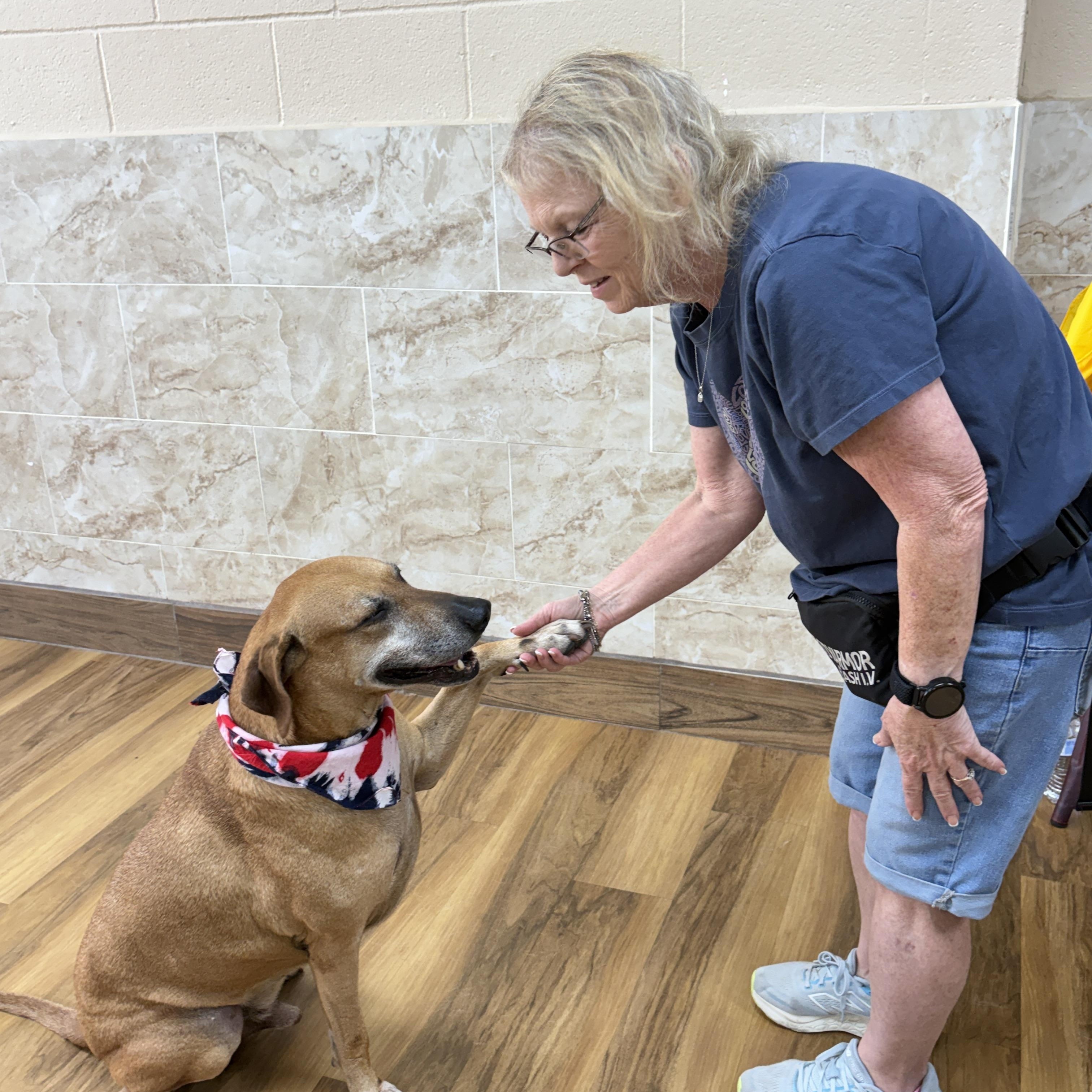 Enlarge BENSON- a charmer, a Adoptable mixed breed in Groton, CT image 5/6