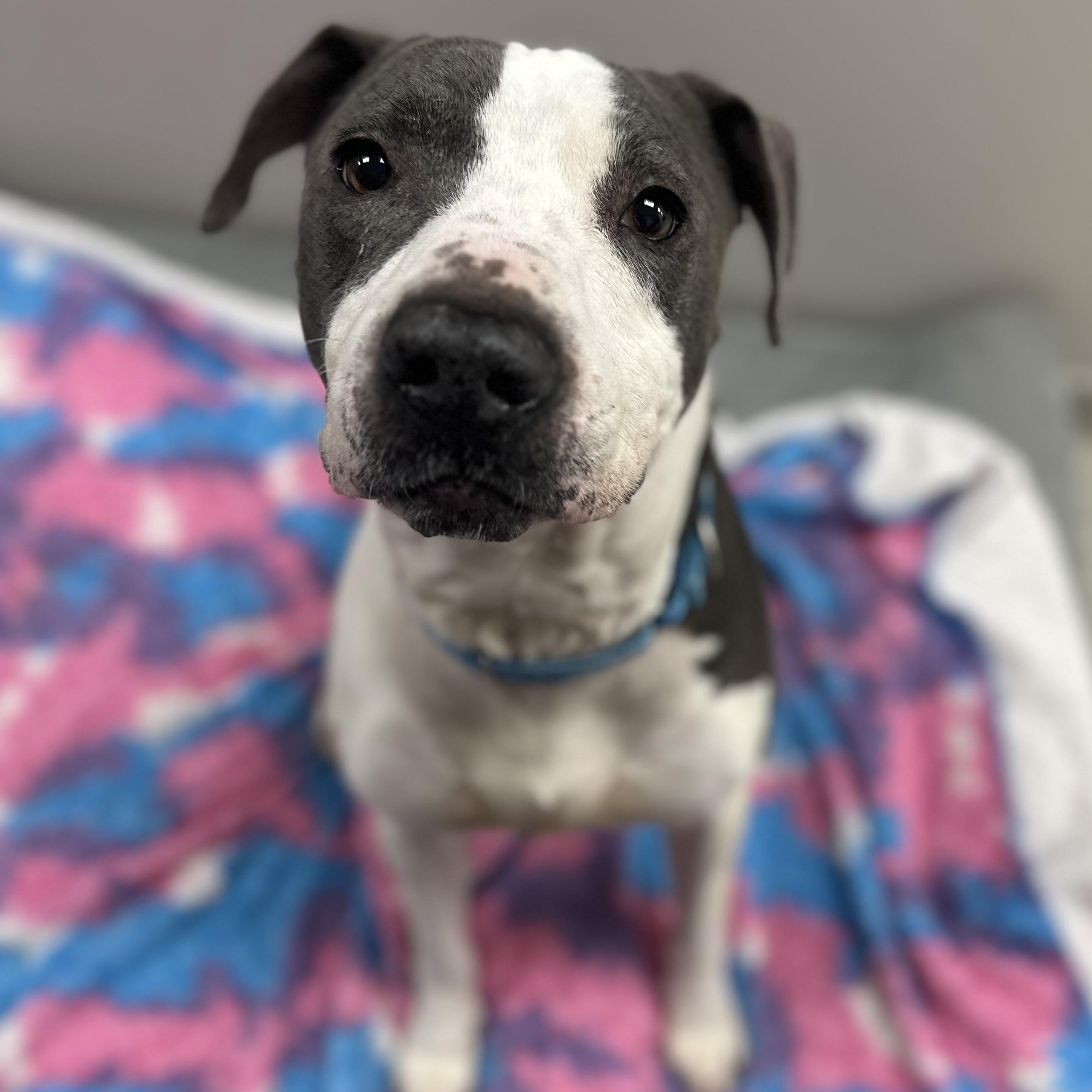 Kado+ — thumbnail 3