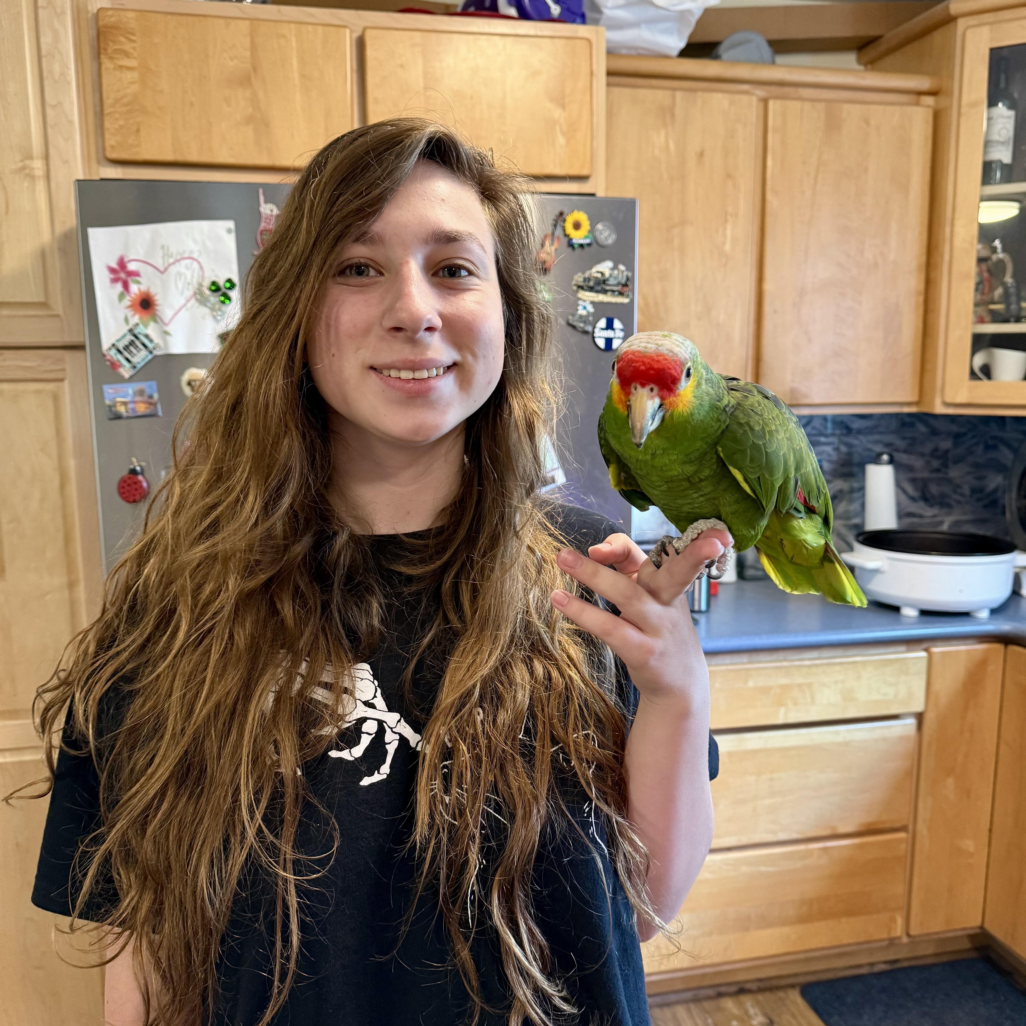 Pedro, Adoptable, Adult Male Amazon.